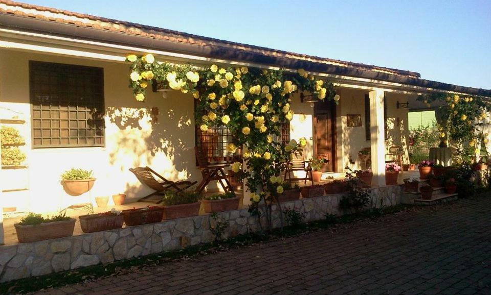 B&B Rolu Formello Kültér fotó