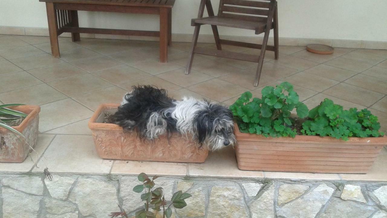 B&B Rolu Formello Kültér fotó