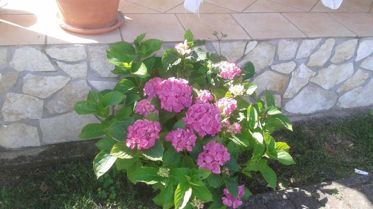 B&B Rolu Formello Kültér fotó