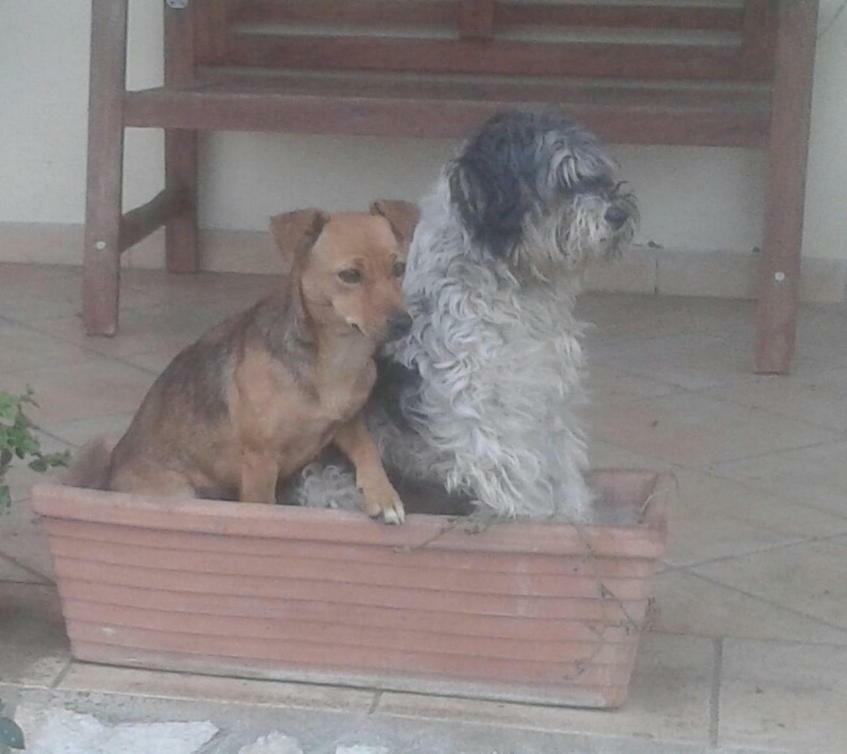 B&B Rolu Formello Kültér fotó